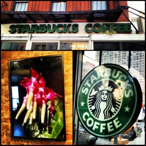 81st and 2nd Starbucks